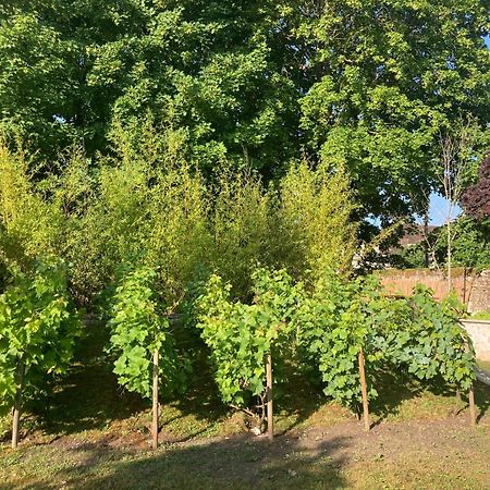 Pierres Et Jardins Bed and Breakfast Senlis  Eksteriør billede