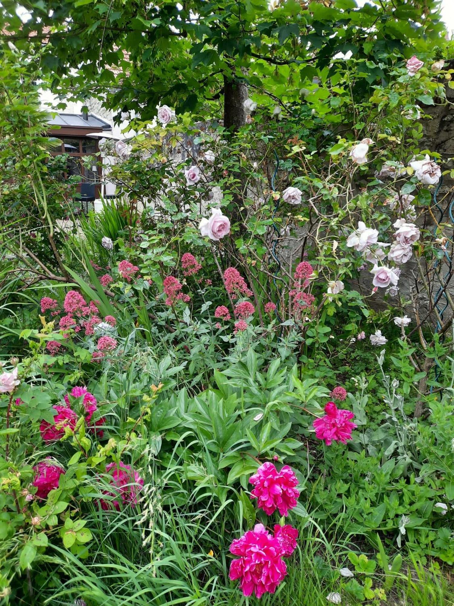 Pierres Et Jardins Bed and Breakfast Senlis  Eksteriør billede